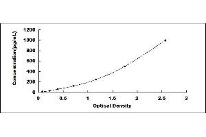 Typical standard curve (Nerve Growth Factor ELISA Kit)