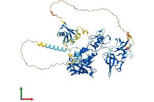 Protein Structure (PS) image for Ubiquitin-Like, Containing PHD and RING Finger Domains, 1 (UHRF1) (AA 1-793) protein (His tag) (ABIN7555971)