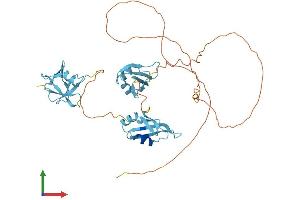 Protein Structure (PS) image for TAR DNA Binding Protein (TARDBP) (AA 1-414) protein (His tag) (ABIN7560189)