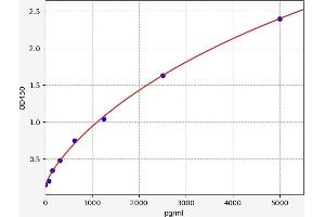 OB Cadherin ELISA Kit