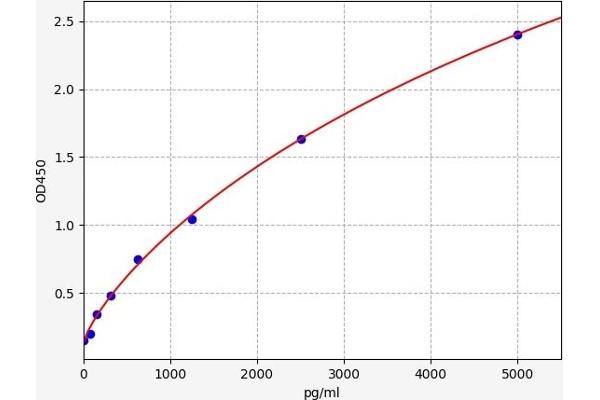 OB Cadherin ELISA Kit