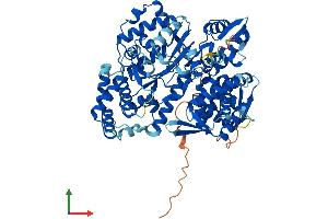 Protein Structure (PS) image for Glyceronephosphate O-Acyltransferase (GNPAT) (AA 1-678) protein (His tag) (ABIN7556843)