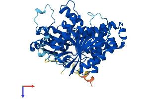 TUBB2B Protein (AA 1-445) (His tag)