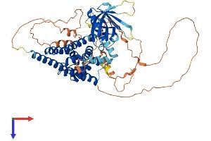 ARHGEF25/GEFT Protein (AA 1-580) (His tag)