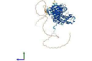 AlphaFold protein structure predicition of Human Recombinant CHM Protein, UniprotID P24386