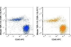 C57Bl/6 bone marrow cells were stained with APC Anti-Mouse CD45 and 0. (Ly76 Antikörper  (FITC))