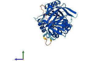 Protein Structure (PS) image for serpin Peptidase Inhibitor, Clade B (Ovalbumin), Member 6 (SERPINB6) (AA 1-378) protein (His tag) (ABIN7557625)
