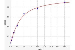 CDK8 ELISA Kit