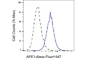 Validation of APE1 knockdown using flow cytometry. (Rekombinanter APEX1 Antikörper)