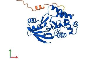 Protein Structure (PS) image for Hydroxyacylglutathione Hydrolase-Like (HAGHL) (AA 1-283) protein (His tag) (ABIN7561258)