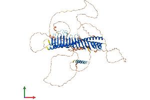 Protein Structure (PS) image for Junctophilin 3 (JPH3) (AA 1-748) protein (His tag) (ABIN7554215)