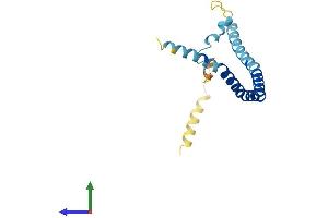 Protein Structure (PS) image for Caveolin 2 (CAV2) (AA 1-162) protein (His tag) (ABIN7556316)