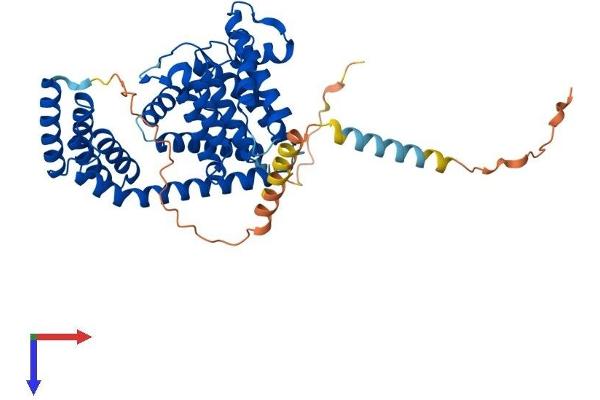 FICD Protein (AA 1-458) (His tag)