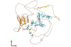 AlphaFold protein structure predicition of Human Recombinant ZBTB47 Protein, UniprotID Q9UFB7