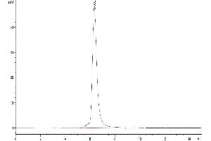Size-exclusion chromatography-High Pressure Liquid Chromatography (SEC-HPLC) image for Hepatitis A Virus Cellular Receptor 2 (TIM 3) (AA 22-200) protein (His-Avi Tag,Biotin) (ABIN7275739)