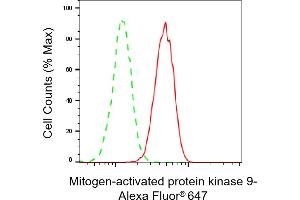 Flow cytometric analysis of Mitogen-activated protein kinase 9 expression in HeLa cells using Mitogen-activated protein kinase 9 antibody (ABIN7799458), 1:2,000). (JNK2 Antikörper)