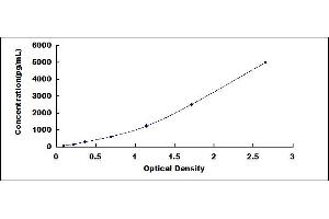 Retinoid X Receptor alpha ELISA Kit