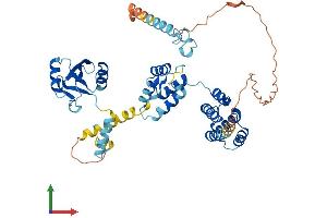 Protein Structure (PS) image for Paraneoplastic Antigen MA3 (PNMA3) (AA 1-466) protein (His tag) (ABIN7559411)
