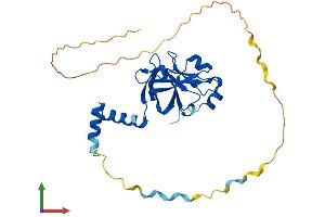 Protein Structure (PS) image for Centromere Protein V (CENPV) (AA 1-275) protein (His tag) (ABIN7553309)