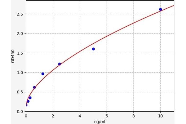 N-Cadherin ELISA Kit