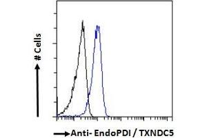 Flow Cytometry (FACS) image for anti-Thioredoxin Domain Containing 5 (Endoplasmic Reticulum) (TXNDC5) (C-Term) antibody (ABIN185279)