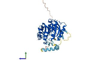 Protein Structure (PS) image for Calmodulin-Lysine N-Methyltransferase (CAMKMT) (AA 1-323) protein (His tag) (ABIN7557135)