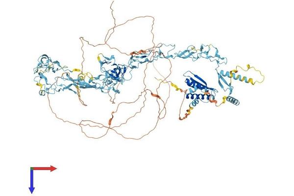 NFX1 Protein (AA 1-1120) (His tag)