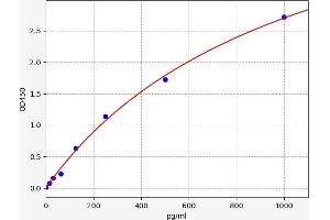 Typical standard curve (ADAM28 ELISA Kit)