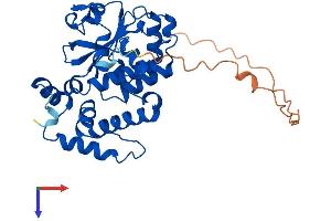 CLVS2 Protein (AA 1-327) (His tag)