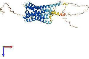 PTGER1 Protein (AA 1-402) (His tag)