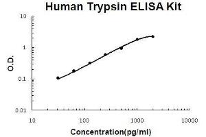 Human Trypsin PicoKine ELISA Kit standard curve (PRSS3 ELISA Kit)