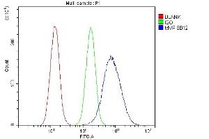 Flow Cytometry analysis of A549 cells using anti-MVP antibody (ABIN7600195).