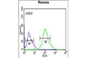 Flow cytometric analysis of Ramos cells (right histogram) compared to a negative control cell (left histogram).