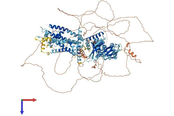 KCNH7 Protein (AA 1-1196) (His tag)