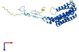 PIGC Protein (AA 1-297) (His tag)