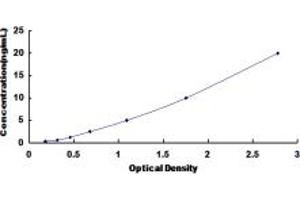 Typical standard curve (MT2 ELISA Kit)