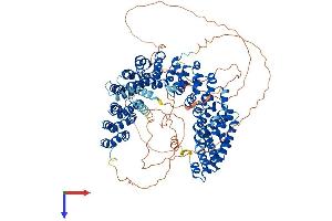 PPP4R1 Protein (AA 1-950) (His tag)