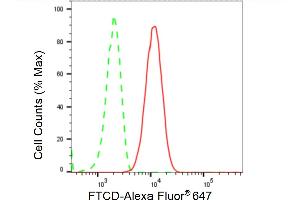 Flow cytometric analysis of FTCD expression in HT- cells using FTCD antibody (ABIN7798654), 1:2,000). (Rekombinanter FTCD Antikörper)