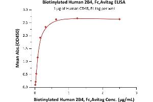 Immobilized Human CD48, Fc tag at 10 μg/mL (100 μL/well) can bind Biotinylated Human 2B4, Fc,Avitag (ABIN5526626,ABIN5526627) with a linear range of 0. (2B4 Protein (AA 22-221) (Fc Tag,AVI tag,Biotin))