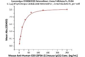 Immobilized Cynomolgus CD3E&CD3D Heterodimer Protein, Llama Fc&Llama Fc, low endotoxin (ABIN6731268,ABIN6809897) at 1 μg/mL (100 μL/well) can bind Mouse A CD3 (SP34-2) (mouse IgG1) with a linear range of 2-16 ng/mL (QC tested).