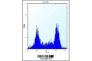 Flow cytometric analysis of Neuro-2a cells (right histogram) compared to a negative control cell (left histogram). (TGIF2 Antikörper  (C-Term))