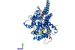 Protein Structure (PS) image for Phosphatidylinositol Glycan Anchor Biosynthesis, Class V (PIGV) (AA 1-493) protein (His tag) (ABIN7550820)
