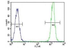 Flow Cytometry (FACS) image for anti-GTPase Kras (KRAS) (AA 146-174) antibody (ABIN3031120)