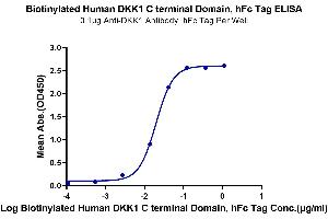 ELISA image for Dickkopf Homolog 1 (DKK1) (AA 178-266), (C-Term) protein (Fc-Avi Tag,Biotin) (ABIN7274475)