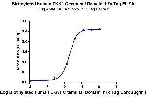 Immobilized Anti-DKK1 Antibody, hFc Tag at 1 μg/mL (100 μL/well) on the plate. (DKK1 Protein (C-Term) (Fc-Avi Tag,Biotin))