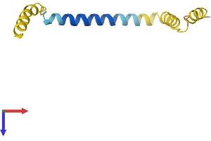 DEXI Protein (AA 1-95) (His tag)