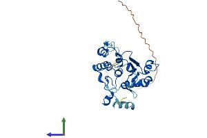 AlphaFold protein structure predicition of Human Recombinant DTWD2 Protein, UniprotID Q8NBA8