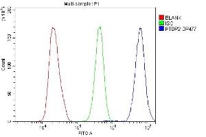 Flow Cytometry analysis of HeLa cells using anti-PTBP2 antibody (ABIN7599452).