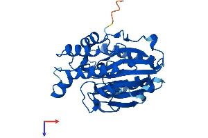 Cpped1 Protein (AA 1-312) (His tag)
