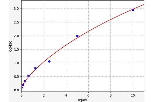 ZG16 ELISA Kit